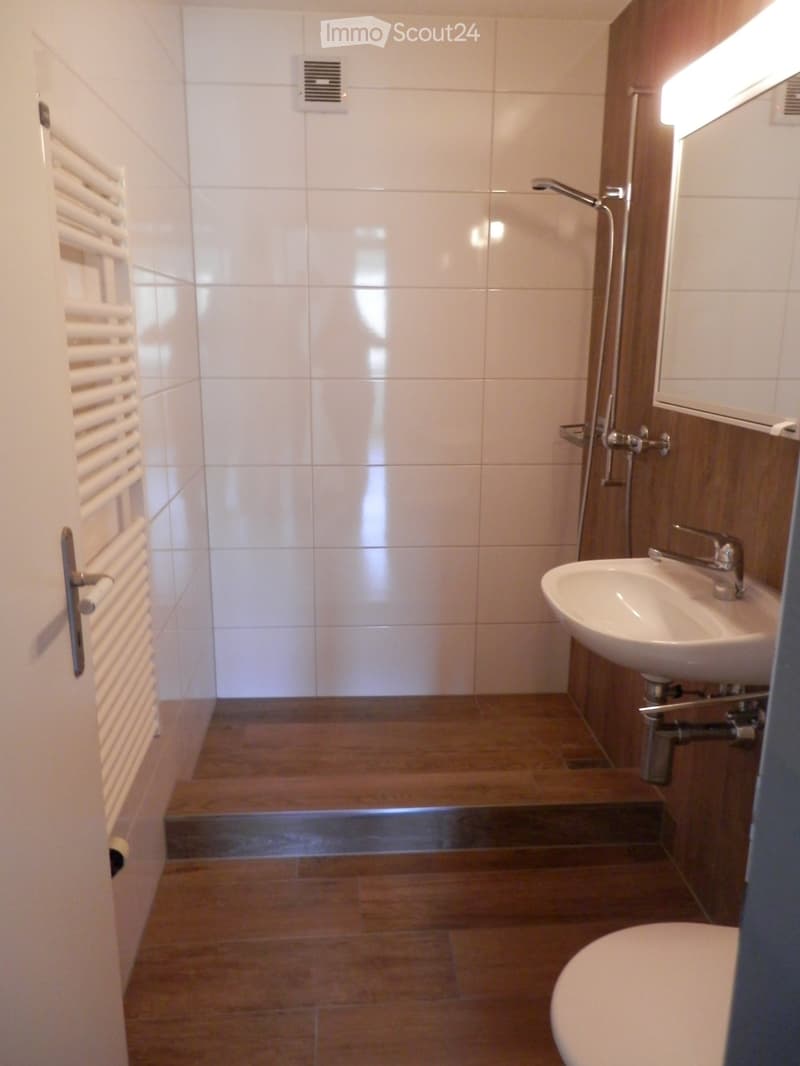 Appartement de 4,5 pièces fraîchement rénové avec balcon, cheminée et garage (4)