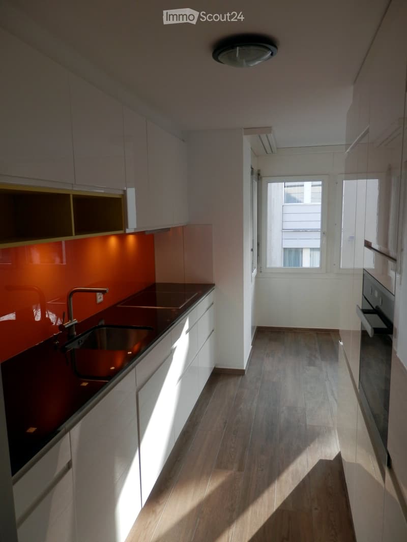 Appartement de 4,5 pièces fraîchement rénové avec balcon, cheminée et garage (5)