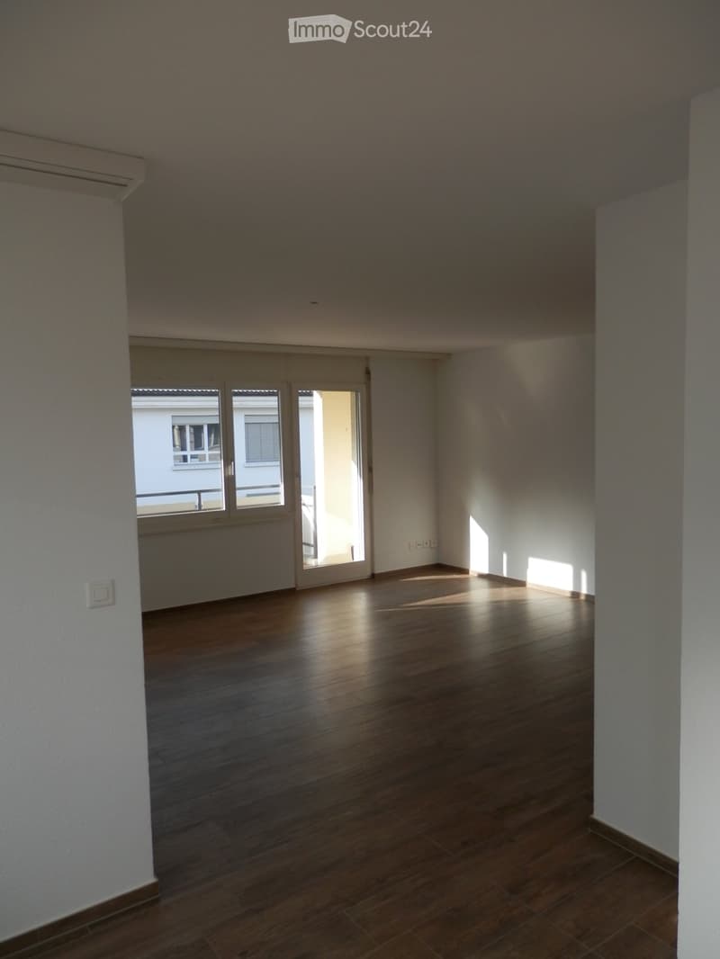 Appartement de 4,5 pièces fraîchement rénové avec balcon, cheminée et garage (3)