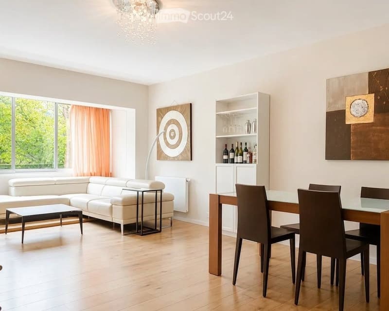 Furnished 2-room apartment for rent (3)