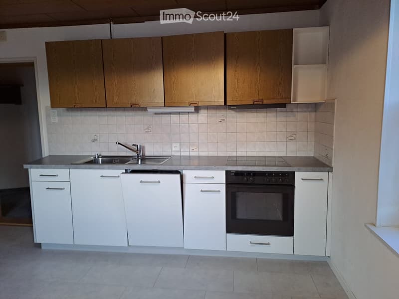 Appartamento di 4,5 locali con ampia terrazza (3)