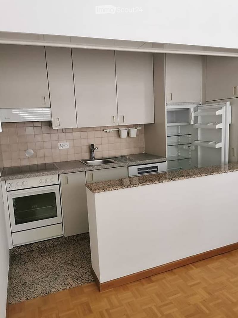 Lugano, apartment for rent, no settlement at the end of the year (4)