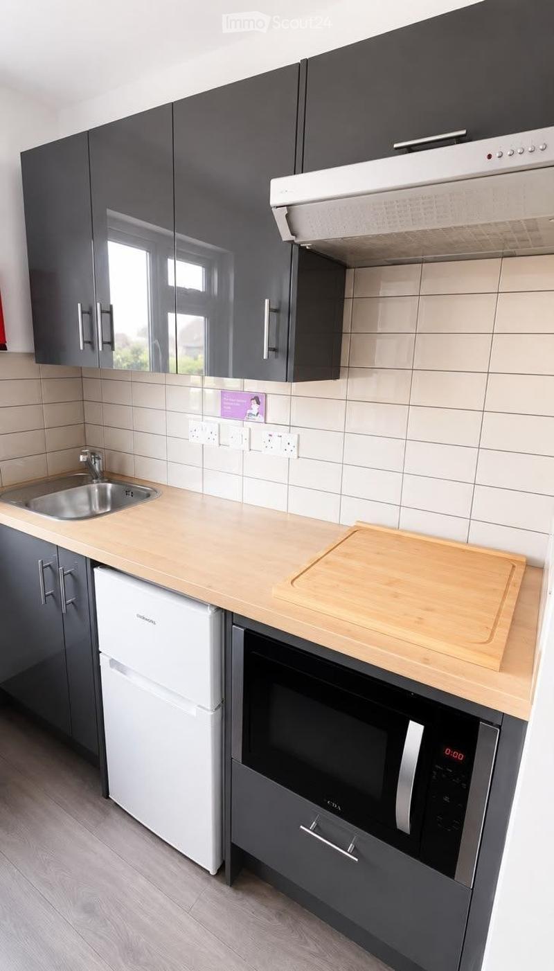Studio meublé au Quartier Plainpalais (5)