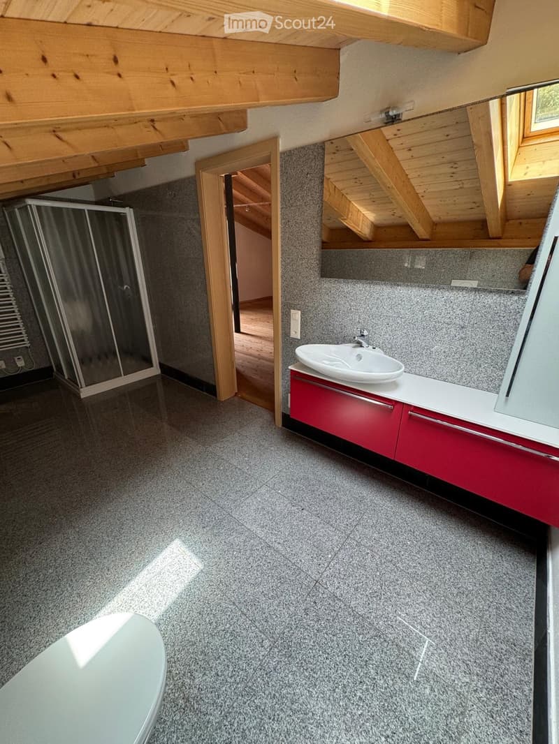 Prächtiges Duplex mit 3.5 Zimmern, Terrasse und großem Garten (3)