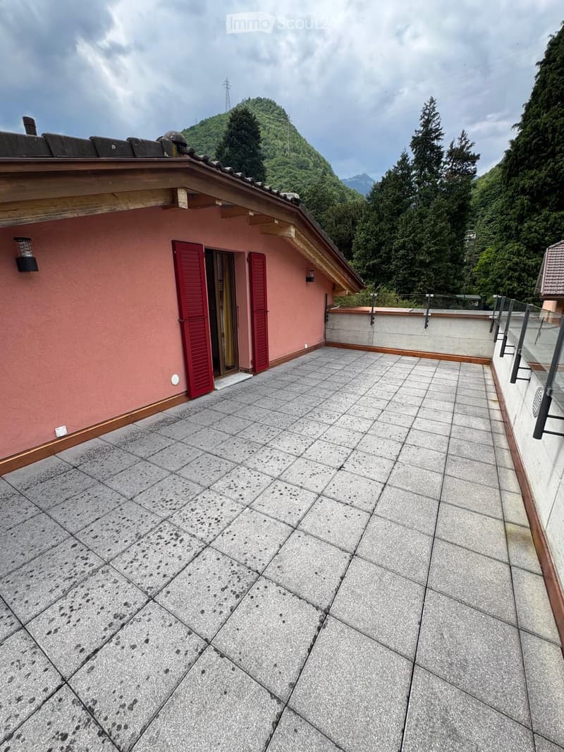 Prächtiges Duplex mit 3.5 Zimmern, Terrasse und großem Garten (4)