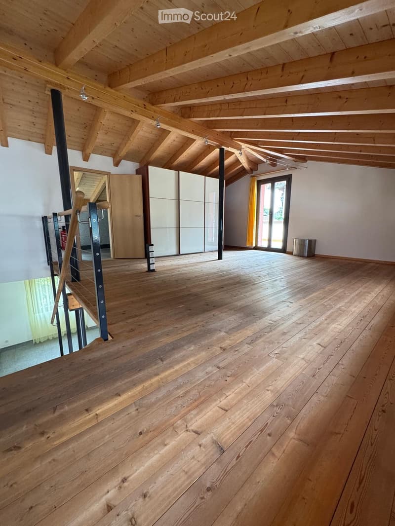 Prächtiges Duplex mit 3.5 Zimmern, Terrasse und großem Garten (2)