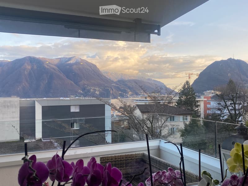 Appartamento 3.5 locali Lugano (5)