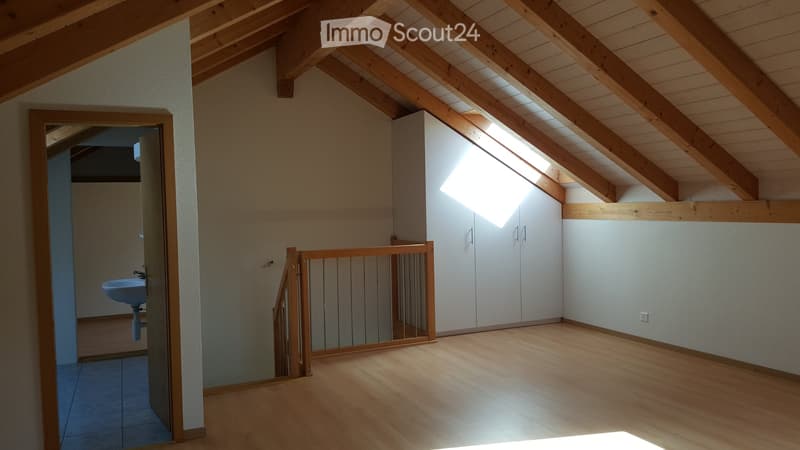 Maison indépendante / Stöckli (5)