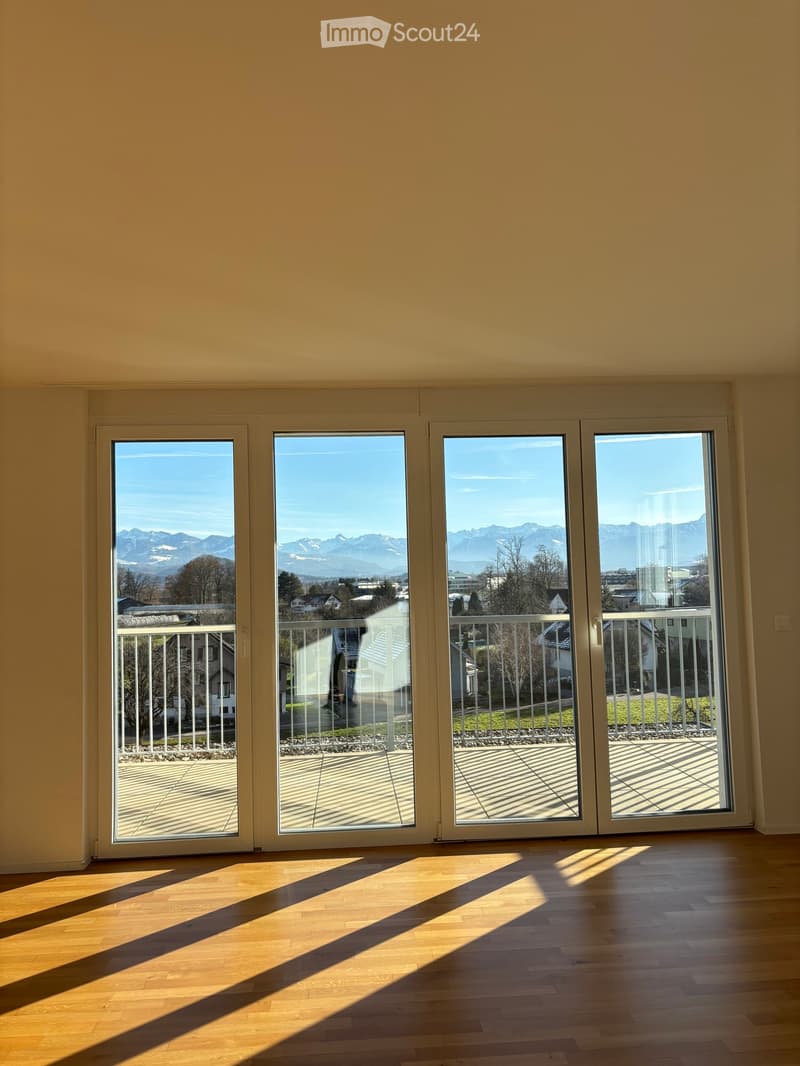 Appartamento moderno di 3,5 locali (4)