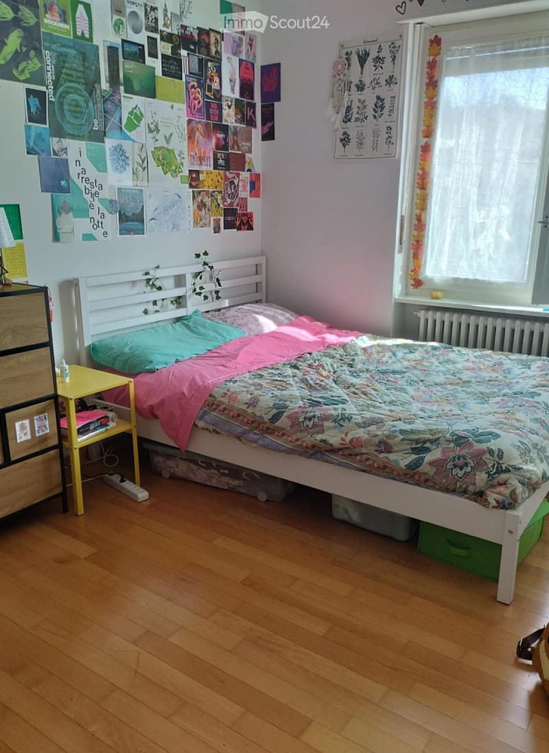 Urgently seeking sublessee for apartment in Mendrisio (4)