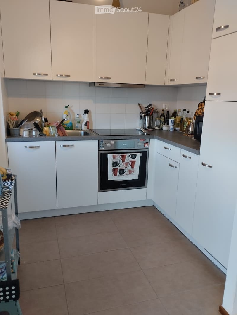 Urgently seeking sublessee for apartment in Mendrisio (1)