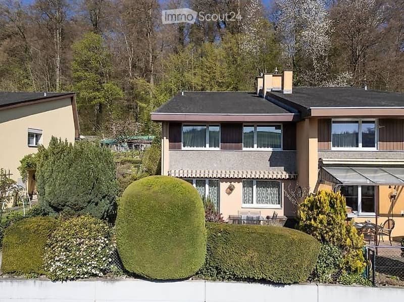 Single-family house on the edge of the forest (1)