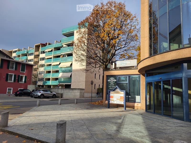 Location pour de courtes périodes 2.5 pièces à Lugano (4)