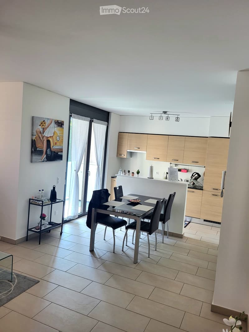 Location pour de courtes périodes 2.5 pièces à Lugano (2)