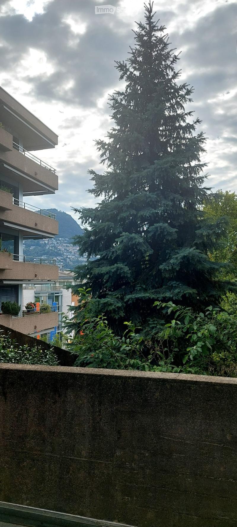 Privacy vicino allOspedale: appartamentino pronto alluso (1)