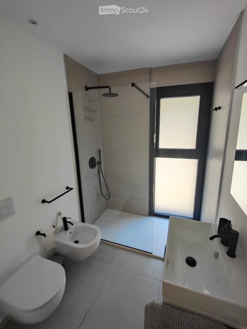 Cozy furnished 3.5-room apartment with terrace (4)