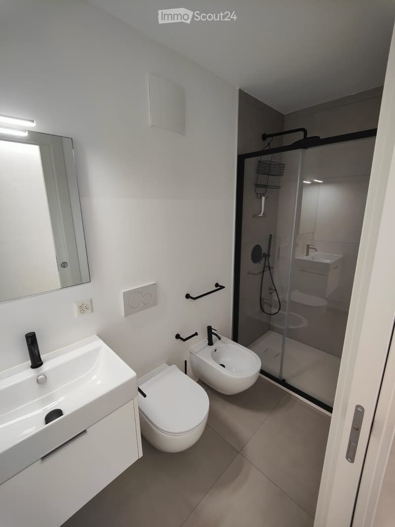 Cozy furnished 3.5-room apartment with terrace (2)
