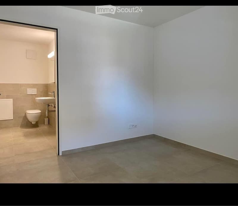Rental apartment with 1.5 rooms (3)