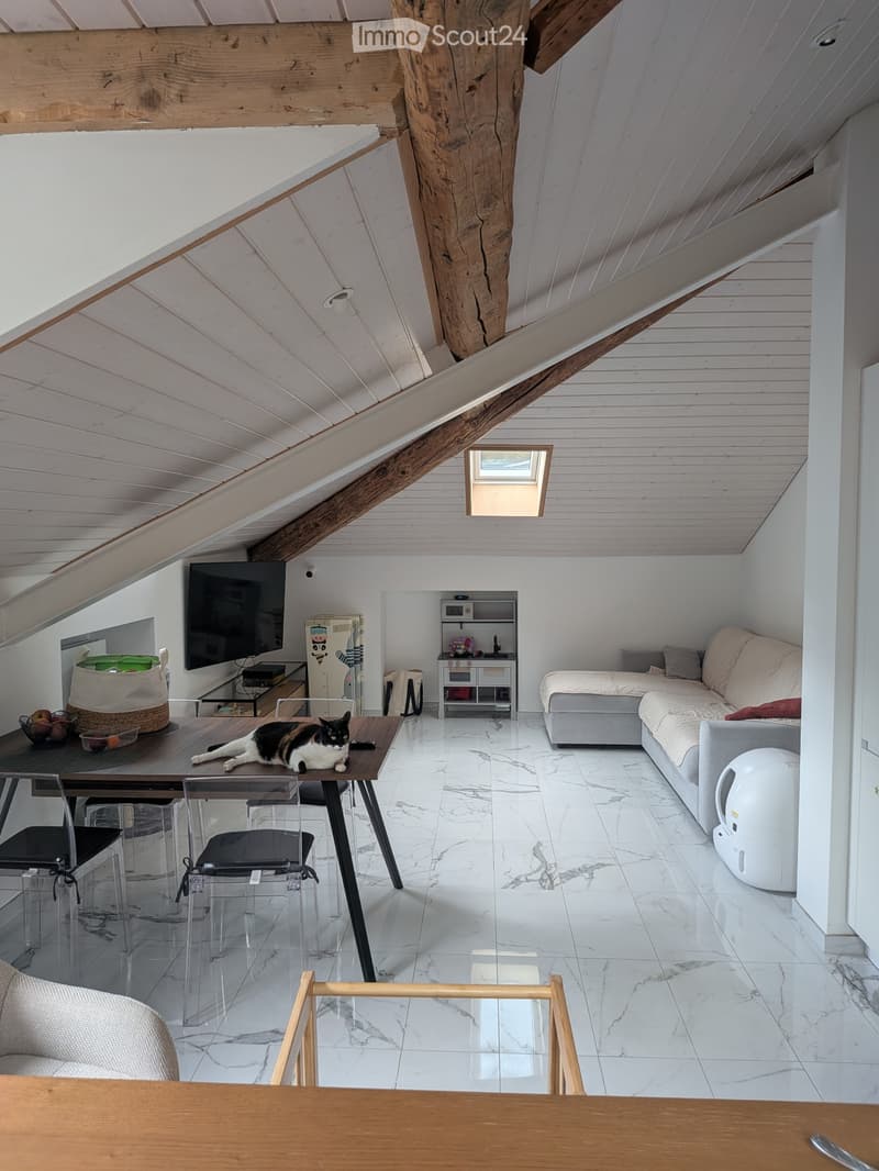 Moderne Dachgeschosswohnung (5)