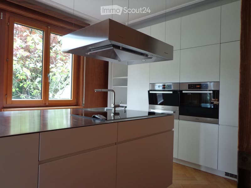 8½-Zi Familien-Stadt-Wohnung im Grünen (2)