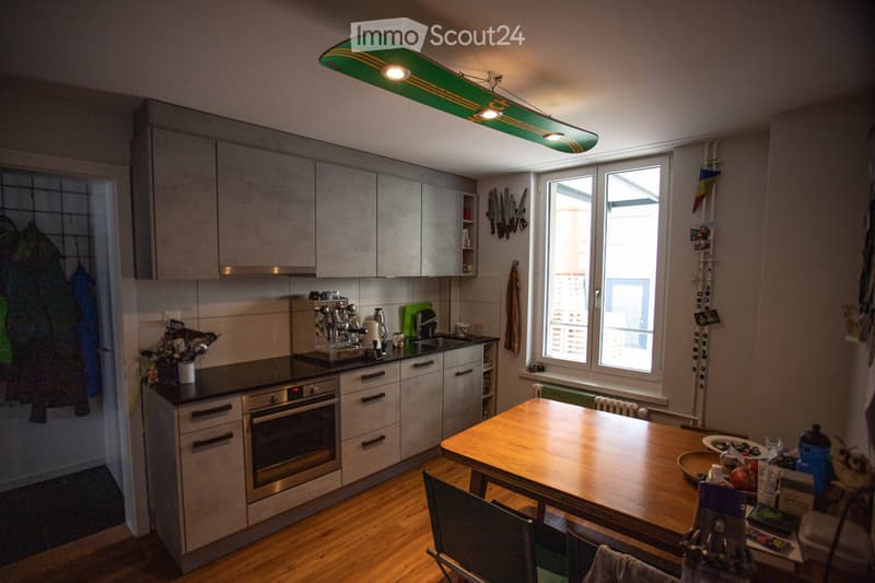 Beautiful apartment with huge terrace (80m2) for rent (4)
