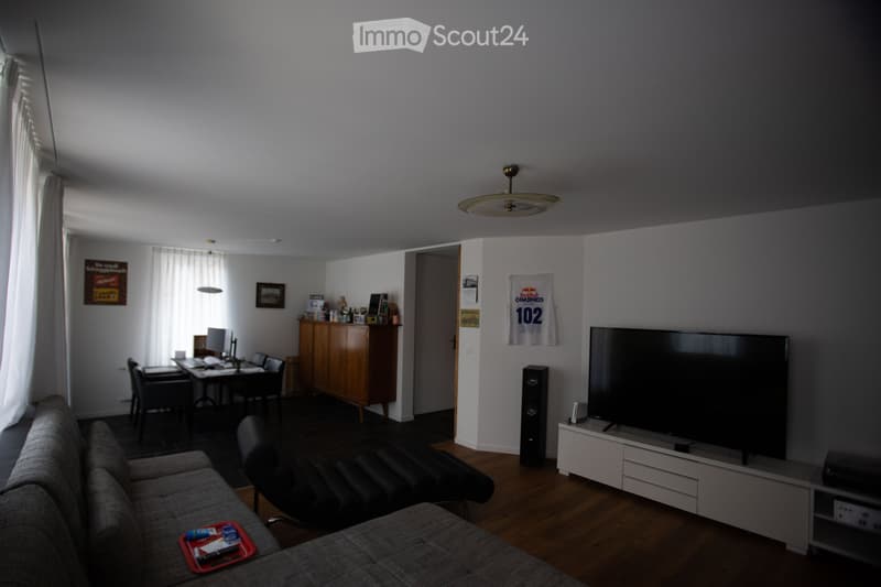 Beautiful apartment with huge terrace (80m2) for rent (3)