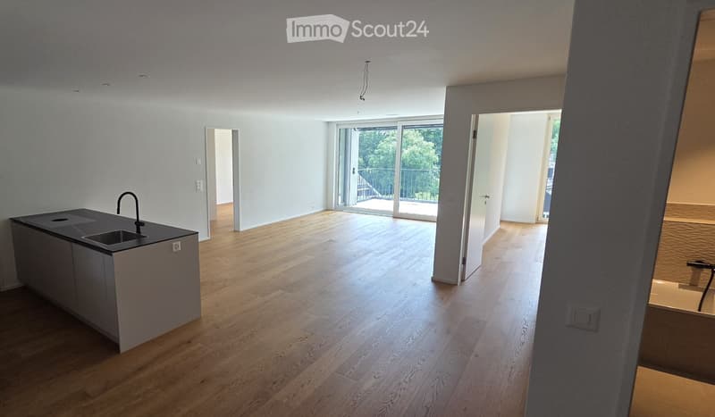 Erstvermietung komfortable 3.5-Zimmerwohnung (1)
