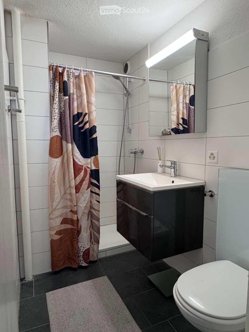 Recherche locataire : appartement 1.5 pièces au cœur d'Aarau (4)