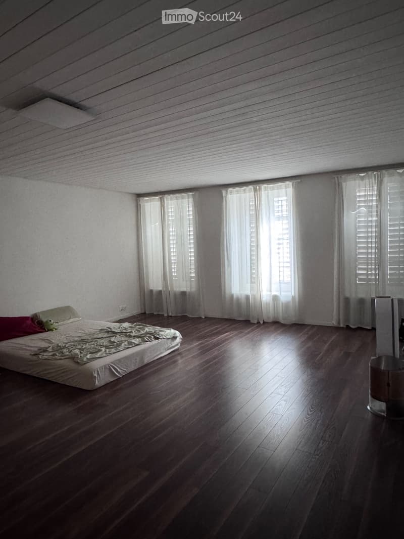 Recherche locataire : appartement 1.5 pièces au cœur d'Aarau (1)