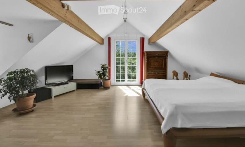 2½ Zimmer Loft-Wohnung in Winden ab August zu vermieten (3)