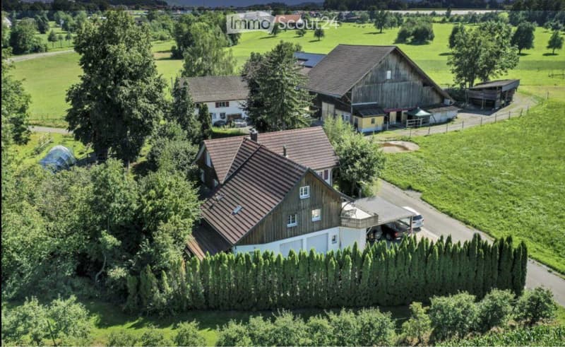 2½ Zimmer Loft-Wohnung in Winden ab August zu vermieten (4)