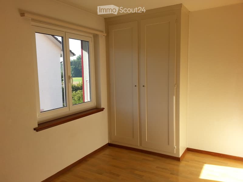 Appartamento soleggiato di 3 locali (2)