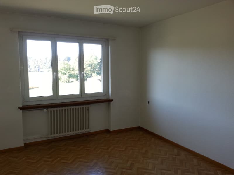Appartamento soleggiato di 3 locali (3)