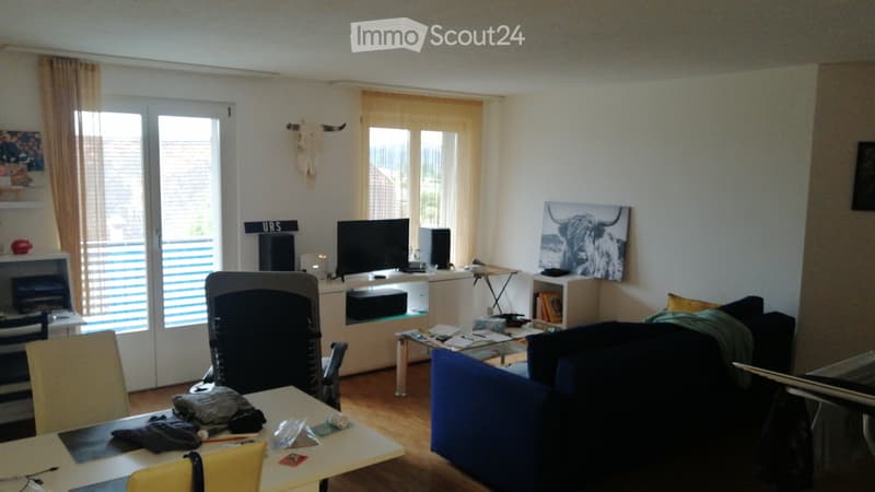 2.5 Zimmerwohnung (3)
