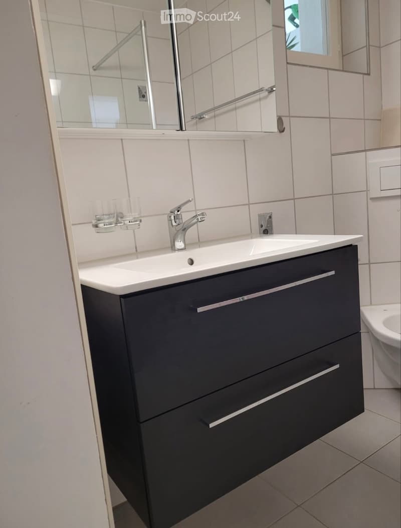 3 Zimmer Wohnung EG Lommiswil (2)