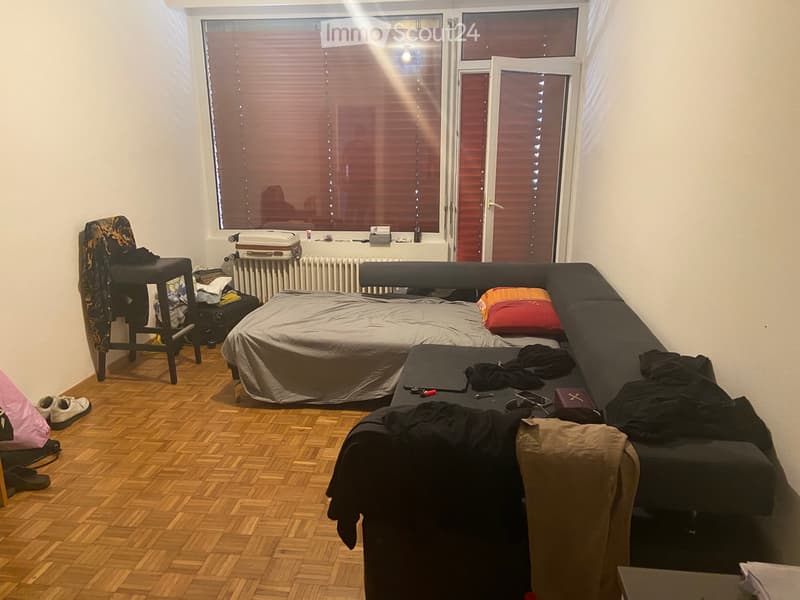 Appartement 2 pièces spacieux dans le quartier de Viganello (2)