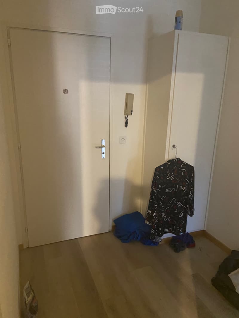 Appartement 2 pièces spacieux dans le quartier de Viganello (3)