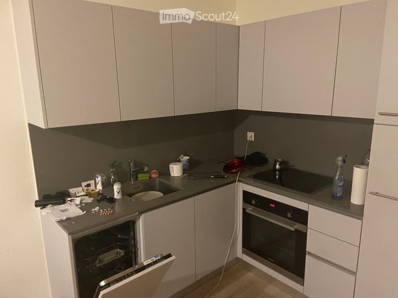 Appartement 2 pièces spacieux dans le quartier de Viganello (1)