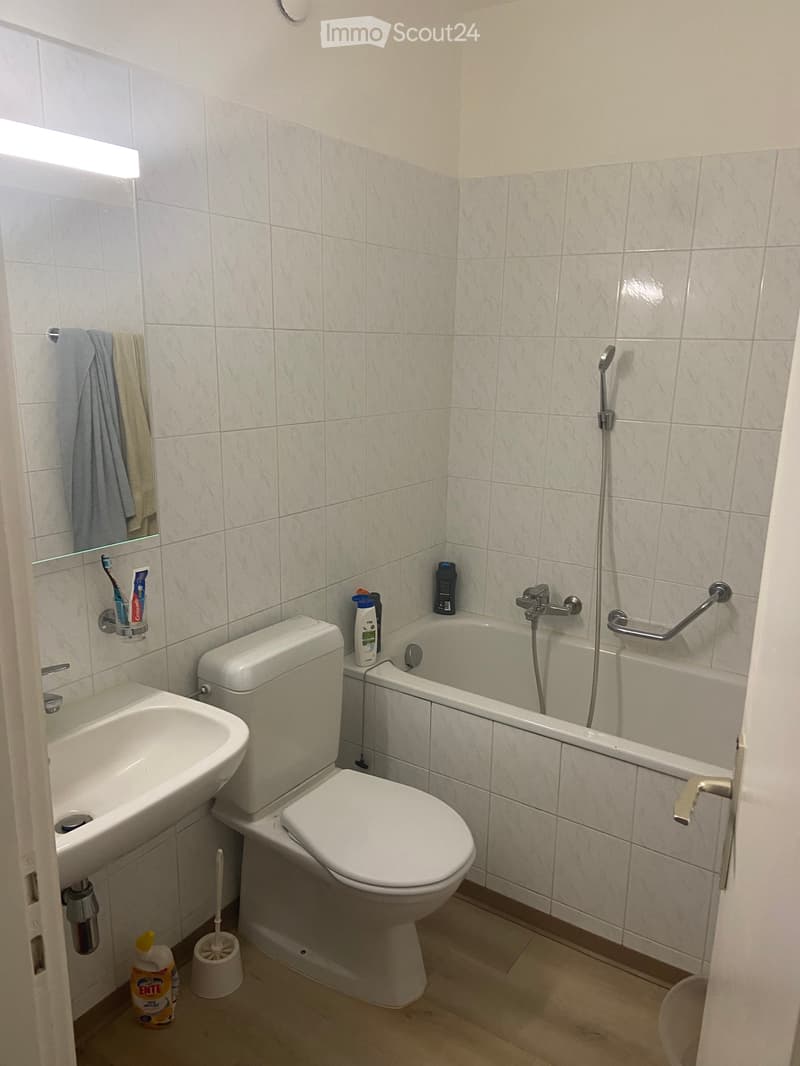 Appartement 2 pièces spacieux dans le quartier de Viganello (5)