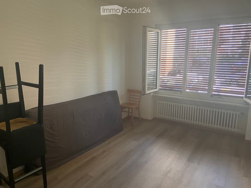 Appartement 2 pièces spacieux dans le quartier de Viganello (4)