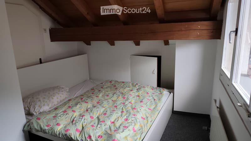 5.5 Room Apartment Old Town Brugg (5)