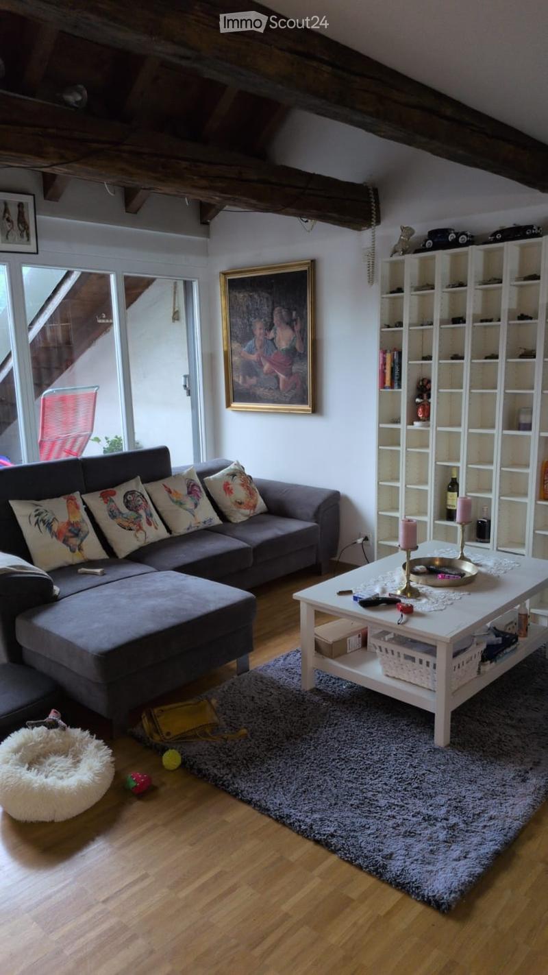 5.5 Room Apartment Old Town Brugg (3)
