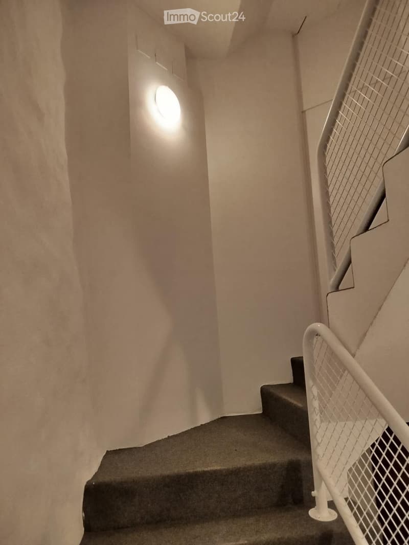 5.5 Room Apartment Old Town Brugg (2)