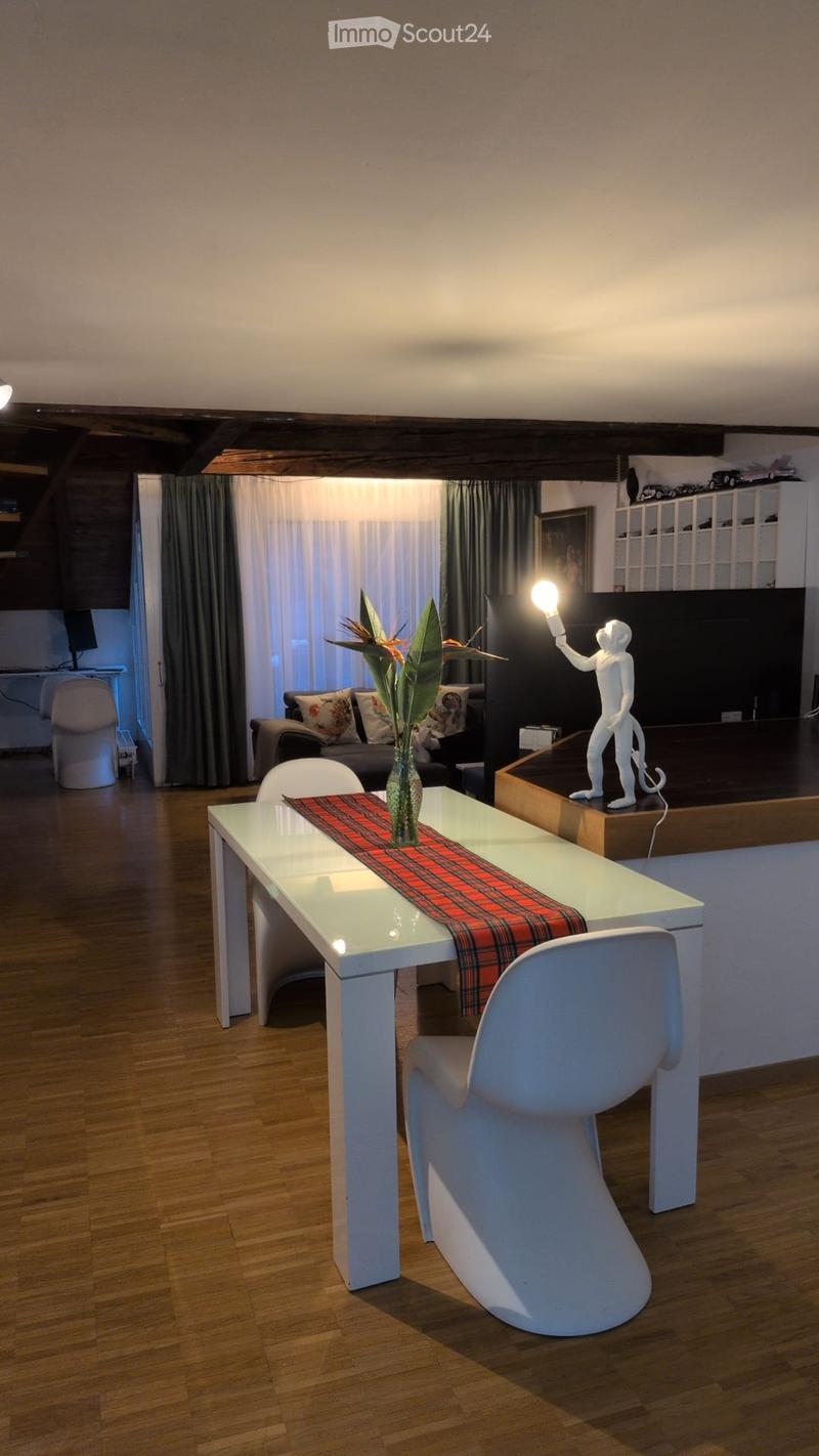 5.5 Room Apartment Old Town Brugg (1)