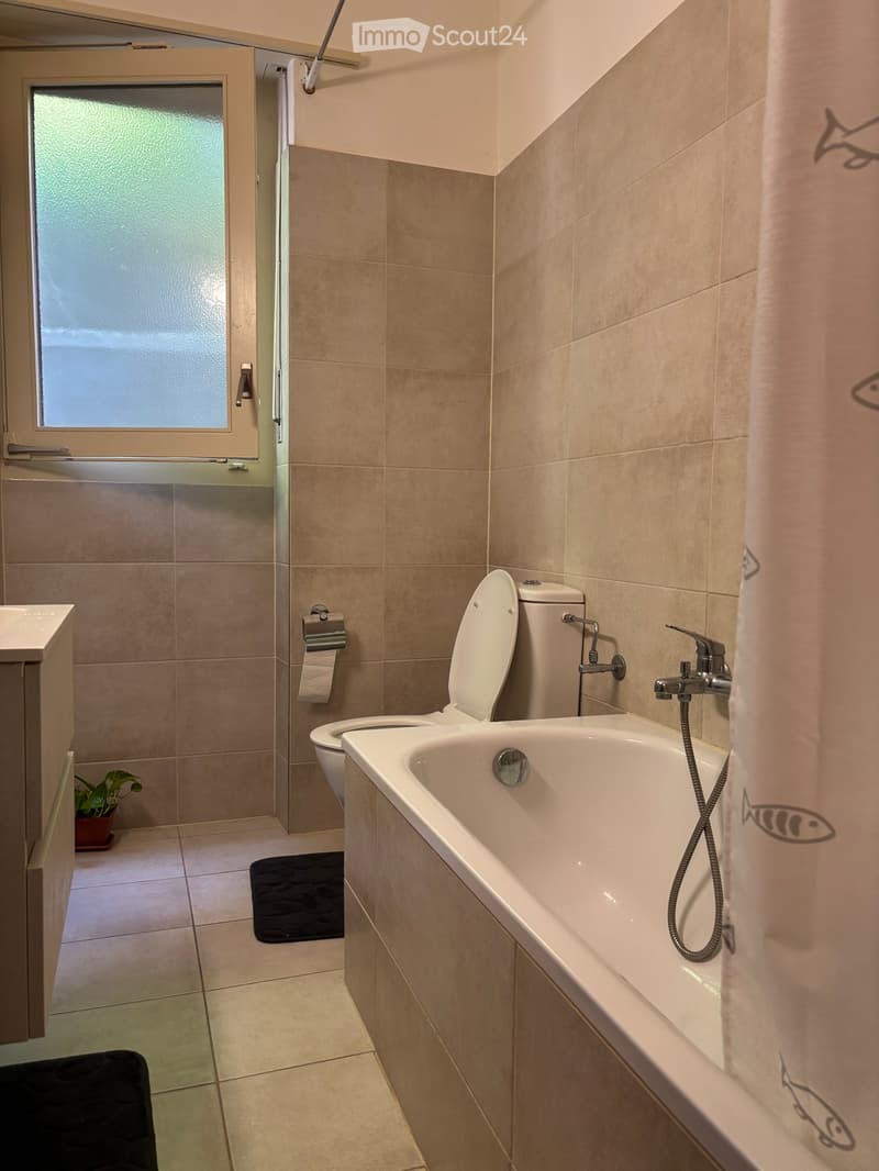 Appartement 3,5 pièces à Besso (5)