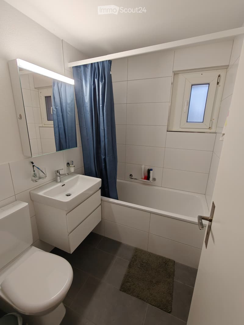 Appartement 3.5 pièces lumineux dans un bon emplacement (5)