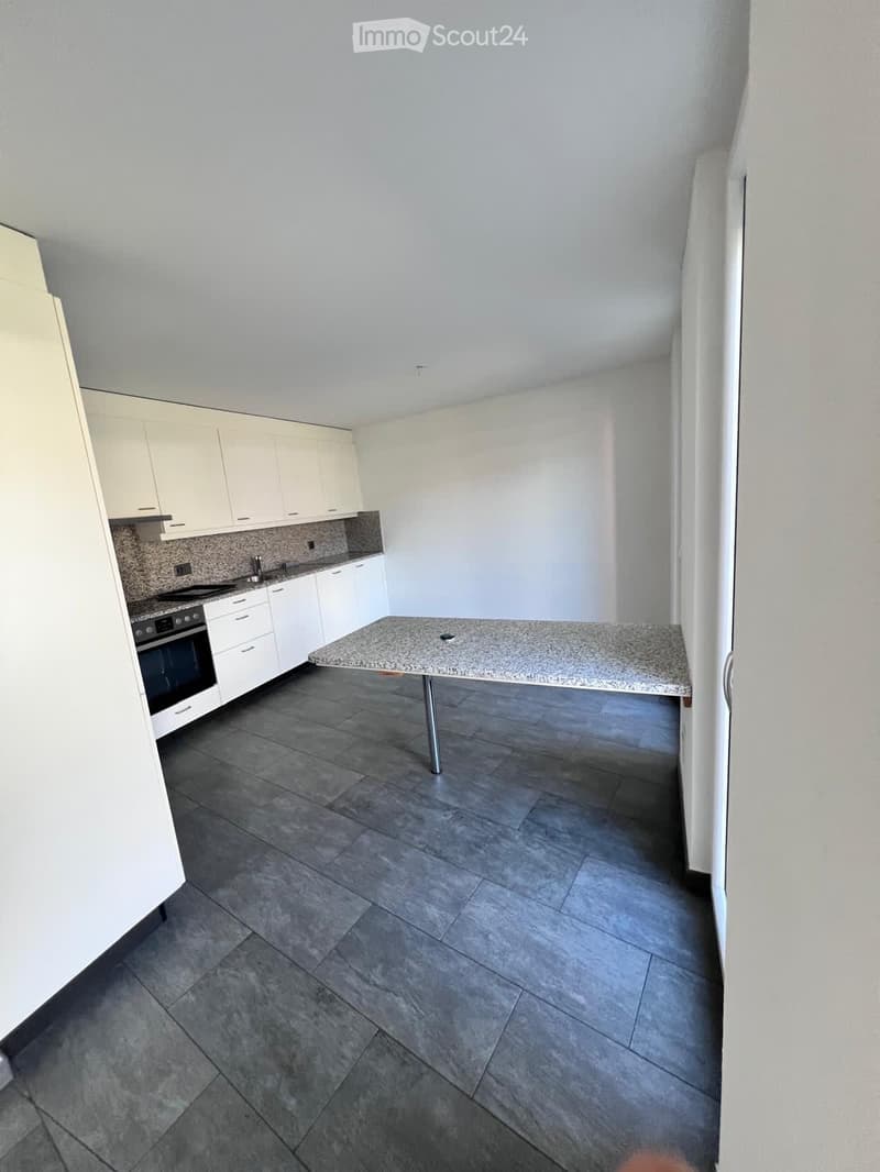 Rent house 4.5 rooms in Figino (4)