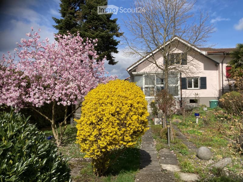 4.5 Room Duplex House with Garden (3)
