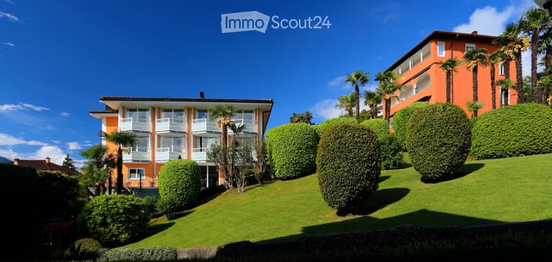 Ascona - Affittiamo bell'appartamento in collina (2)
