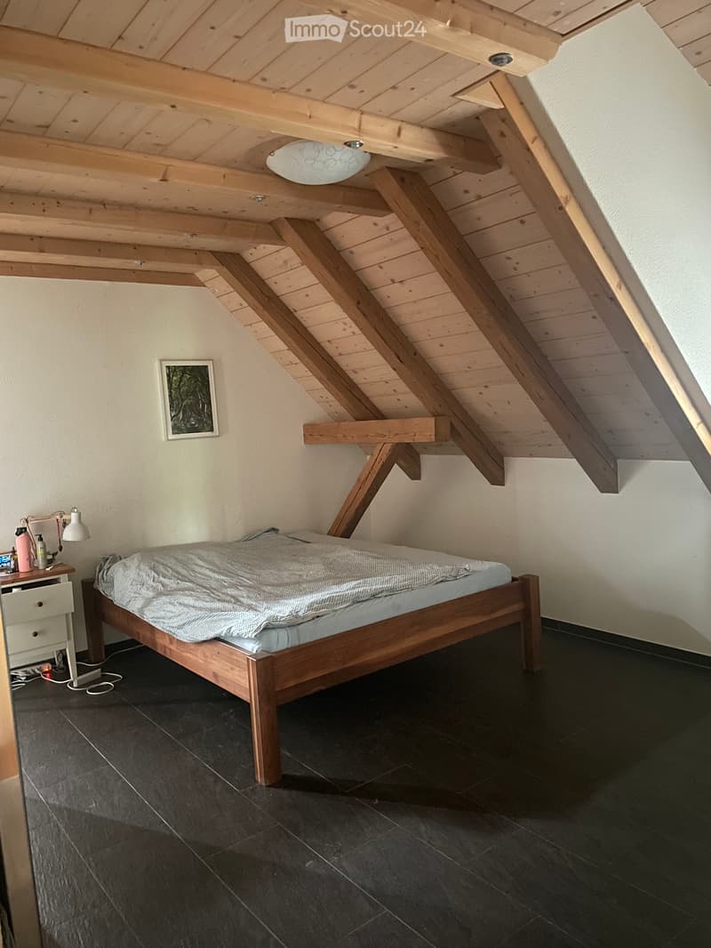 Appartamento in una casa colonica (4)